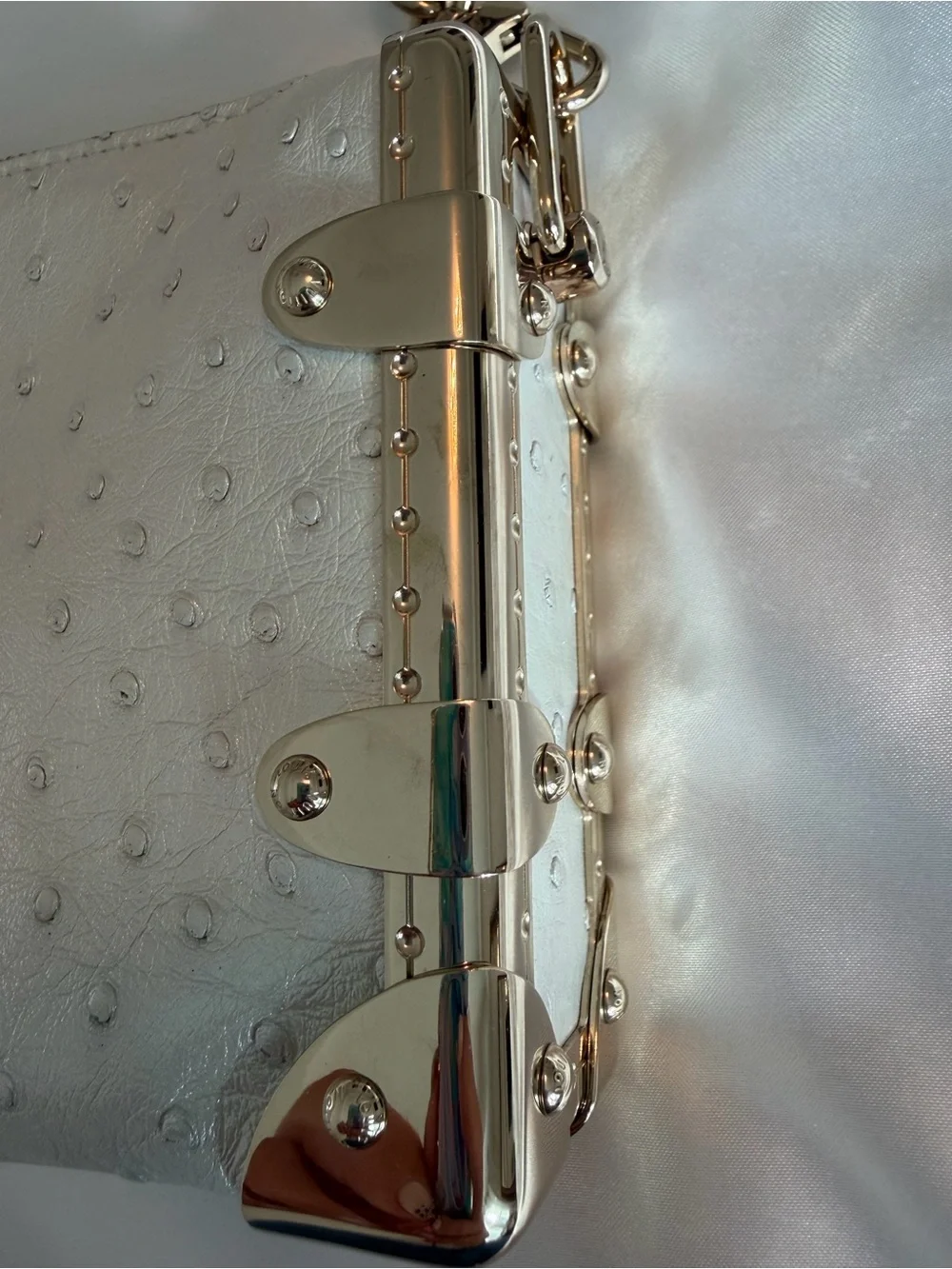 Louis Vuitton Iridescent Ostrich Leather Bag with Gold Chain & Crossbody Strap